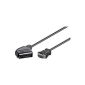 Wentronic 50071 cable 2 m (Germany Import) (Accessory)