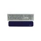 Durable Wrist Rest, 450 x 100 x 15 mm, blue, 5704-06 (Office supplies & stationery)