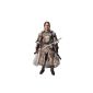 Funko Legacy Action: Game of Thrones Series 2 Jaime Lannister Action Figure by Funko (Toys)