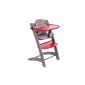 Badabulle Evolutive Highchair, Red / Taupe (Baby Care)