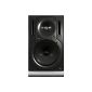 Behringer B2031A Truth 2-way studio monitor (electronic)