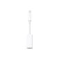 Apple MD463ZM / A Thunderbolt to Gigabit Ethernet Adapter White (Personal Computers)