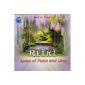 Reiki Space of Peace & Love (Audio CD)