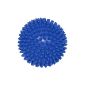 Igelball Hedgehog ball massage ball, Ø 10 cm, blue