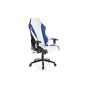 HJH OFFICE 625 600 Racing Gaming Chair Sportseat DAYTONA black-white-blue (household goods)