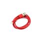 ShopmallHk Lightning 8 Pin USB Cable for charging Apple iPhone 5, iPad Mini, iPod Touch 5, iPod Nano 7-- Red (Electronics)