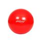 Gym ball - with pump - 65 cm - VARIOUS COLORS (Sport)