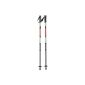 Black Canyon telescopic trekking poles with damper, silver (equipment)