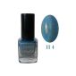 Holographic nail polish PERFECT 6.5 ml - H4 color (Miscellaneous)