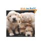 Newborn Puppies: Dogs in Their First Three Weeks (Hardcover)