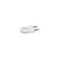 Legrand LEG50162 Plug landless with pull ring 6 A White (Tools & Accessories)