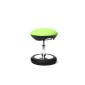 Topstar SC79S05 children fitness stool Sitness Kid 20, cover green (household goods)