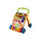 Vtech Toy 1st Age - Super Trotter Speaking 2 In 1 color choice (Baby Care)