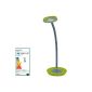 LED desk lamp table lamp table lamp green Study table lamp dimmable