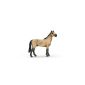 Schleich 13690 - Akhal Teke stallion (Toys)