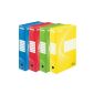 Esselte 128403 - Set of 10 boxes Archive Back 80mm - Assorted Colors 3 Blue / Red 2/2 Yellow / Green 3 (Office Supplies)