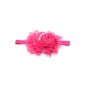 Baby girls hair band, chiffon / beads, roses application, Pink (Personal Care)