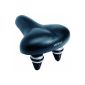 Selle Royal touring City saddle with tension and compression springs, black, 6255 (Equipment)