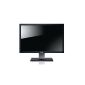 Dell U3011 76.2 cm (30 inch) widescreen TFT monitor (VGA, DVI, HDMI, S-Video, 7 ms response time) black (Personal Computers)