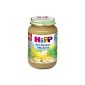 Hipp Organic Banana with apple, 6-pack (6 x 190g) - Organic (Food & Beverage)