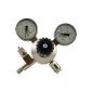 CO2 pressure reducer with 2 manometers + needle valve - reusable system (Misc.)