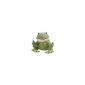 Greenlife 6834120 - thermal protection frog (Baby Care)