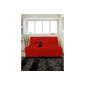 Sun Tan 110457 Bz Quilted Cover Anti-Spot Alix Red Red Polyester 200 x 140 cm (Housewares)