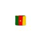 Digni® Sweatband with flag Cameroon (Miscellaneous)