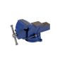 Vise with Jaws anvil 125 mm - Rotating base - Cast iron - VARIOUS SIZES CHOICE (Miscellaneous)