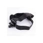 pangshi® Elastic Expandable Head belt headband Flexible belt band + Adapter for Sony Action Cam HDR-AS15 AS30 SJ1000 AS100v AS30V AEE Sports Action Cam Camera Accessories (Electronics)