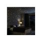 Wall Decal: 203 pieces shining stars (shown as dots) - fluorescent points for stargazing (glow in the dark)