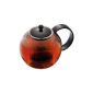 Bodum 1844-01 Assam teapot Filter Piston acrylic 1 L Black (Kitchen)