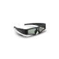 Acer E2B 3D Shutter Glasses for DLP 3D projector black (Accessories)