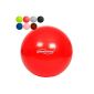 Gym ball - with pump - 95 cm - VARIOUS COLORS (Sport)