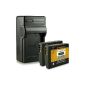 New - 4in1 Charger + 2x Battery DMW-like BLH7 / DMW-BLH7E for Panasonic Lumix DMC-GM1 [Li-Ion - 600mAh - 7.2V] (Electronics)