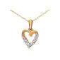 Necklace Pendant - Heart - Yellow gold 375/1000 (9 Cts) Gr 1 - Diamond (Jewelry)