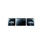 Samsung MM-D320 / EN Micro system (CD, MP3, USB) pearl black (Electronics)