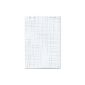 Herlitz 10834141 flip chart pad, 68x99cm (plaid / perforated), 5 blocks (20 sheets per block) (Office supplies & stationery)