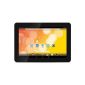 TechniSat TechniPad 10 25.7 cm (10.1 inch) tablet PC (Cortex A9 dual-core, 1.6GHz, 1GB RAM, 32GB HDD, Android 4.1) Black (Personal Computers)