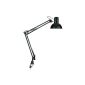 Maul energy-saving lamp mouth Study, excludes bulbs 8230590 (household goods)