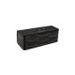 NINETEC Power Blaster 2in1 Bluetooth Speaker and Power Bank (Electronics)