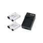 2x Battery (identical Panasonic DMW-BCM13) + Charger SET inter alia for the Panasonic Lumix DMC TZ41 TZ40 ZS30 TS5 FT5 including automotive / Car Charger (Electronics)