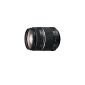 Sony SAL-2875 2.8 / 28-75mm SAM full frame lens (67mm filter thread) (Accessories)