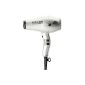 Parlux 385 Power Light and Ionic Ceramic Silver (Health and Beauty)