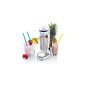Rosenstein & Söhne electric drink-mixer with stainless steel cup