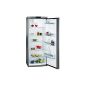 AEG S63300KDX0 refrigerator / A ++ / cooling: 320 L / stainless steel door fronts, sides silver (Misc.)
