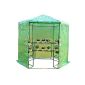 homcom 01-0470 greenhouse-blowing tomato plant cold frame house with shelves, diameter 194 x 225 cm (Garden & Outdoors)