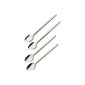 Petra LML 1 Latte Macchiato spoon set display stainless steel (houseware)