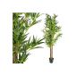 Bamboo shrub, Real Log, art tree, artificial plant, bamboo tree - 160 cm with 1104 sheets