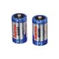 2 LR20 rechargeable Ni-Mh 6500 mA (Contrib. Approximately. Included 0.36E HT) (Accessory)